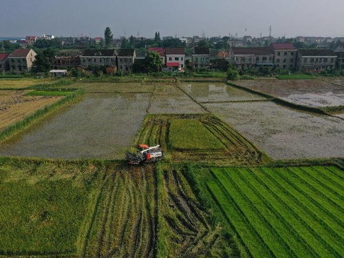 中国南方汛情对粮食供给影响可控